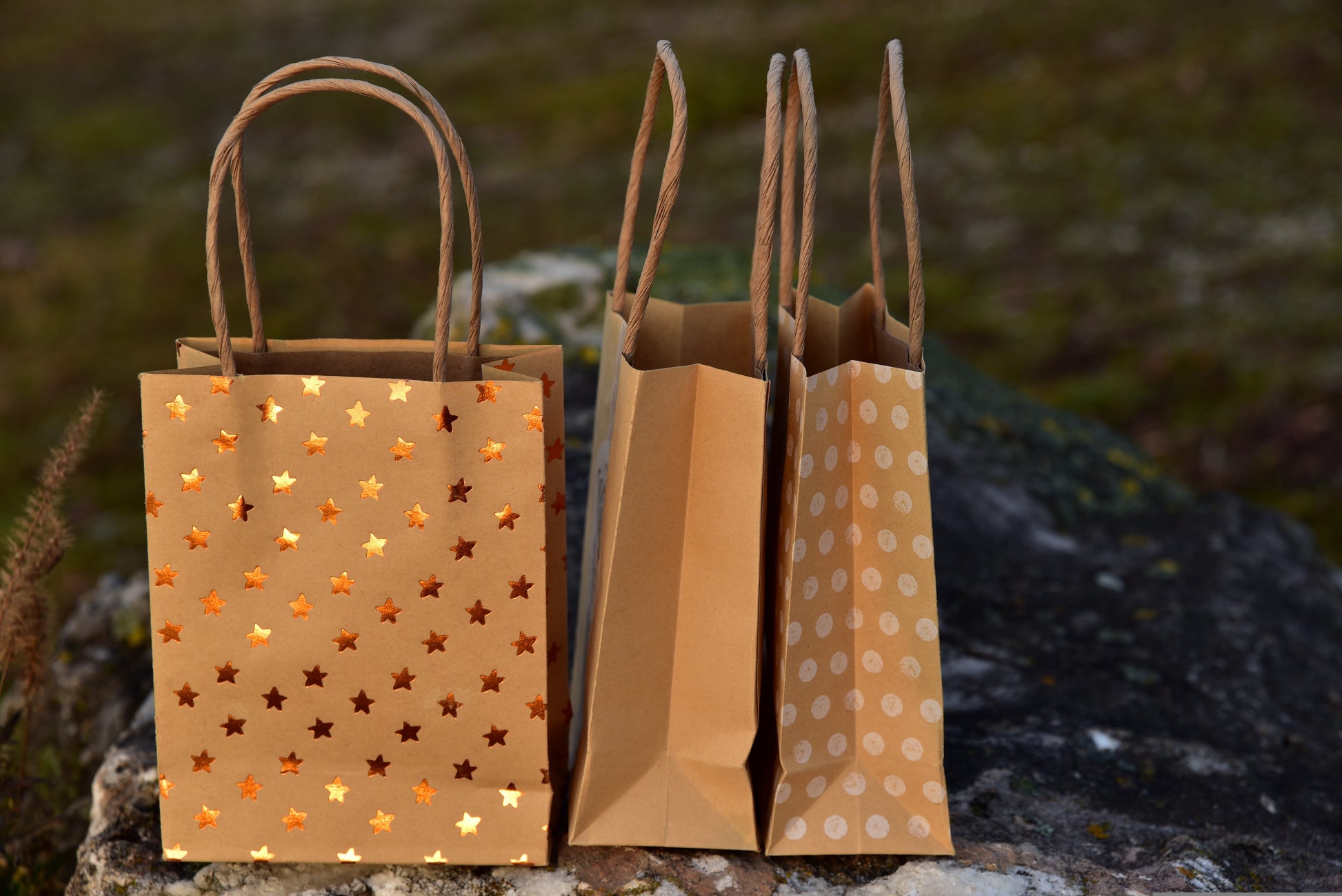 DEPON Paper Bags Golden Stars Gift Bag